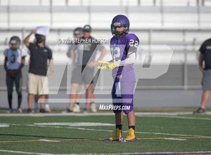 Thumbnail 3 in Pitman @ Tokay photogallery.