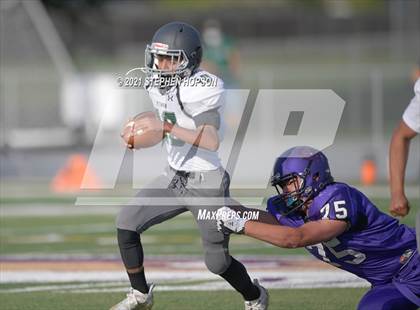 Thumbnail 2 in Pitman @ Tokay photogallery.