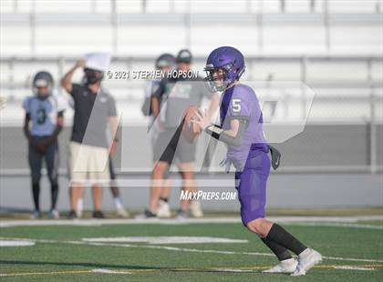 Thumbnail 1 in Pitman @ Tokay photogallery.