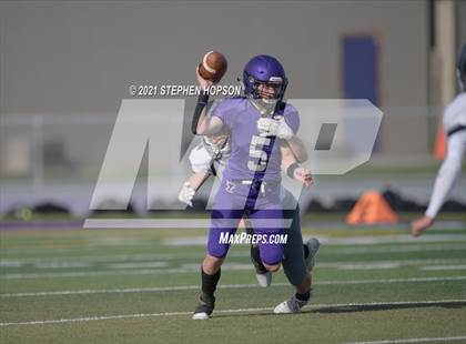Thumbnail 1 in Pitman @ Tokay photogallery.