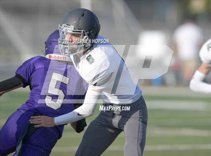 Thumbnail 1 in Pitman @ Tokay photogallery.