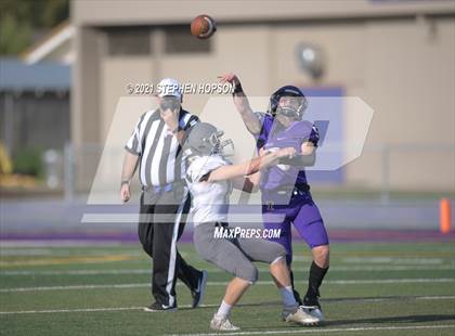 Thumbnail 2 in Pitman @ Tokay photogallery.