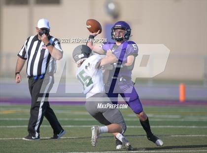 Thumbnail 1 in Pitman @ Tokay photogallery.