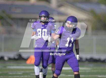Thumbnail 2 in Pitman @ Tokay photogallery.