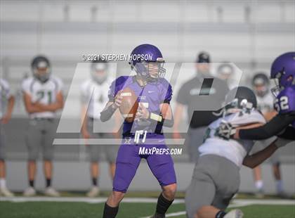 Thumbnail 3 in Pitman @ Tokay photogallery.