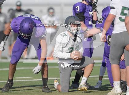 Thumbnail 2 in Pitman @ Tokay photogallery.
