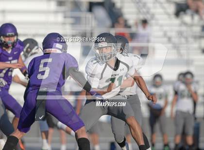 Thumbnail 2 in Pitman @ Tokay photogallery.
