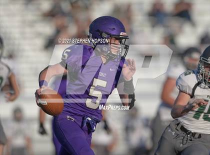 Thumbnail 3 in Pitman @ Tokay photogallery.