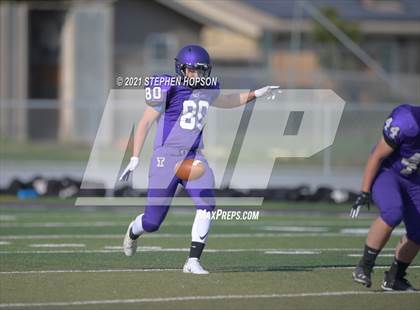 Thumbnail 3 in Pitman @ Tokay photogallery.