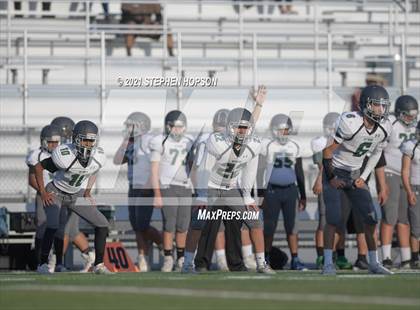 Thumbnail 3 in Pitman @ Tokay photogallery.