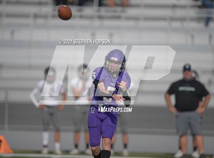 Thumbnail 2 in Pitman @ Tokay photogallery.