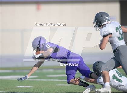 Thumbnail 3 in Pitman @ Tokay photogallery.