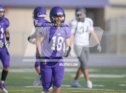 Thumbnail 1 in Pitman @ Tokay photogallery.