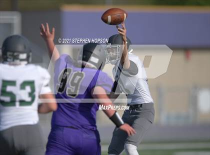 Thumbnail 2 in Pitman @ Tokay photogallery.