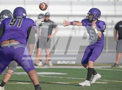 Thumbnail 2 in Pitman @ Tokay photogallery.