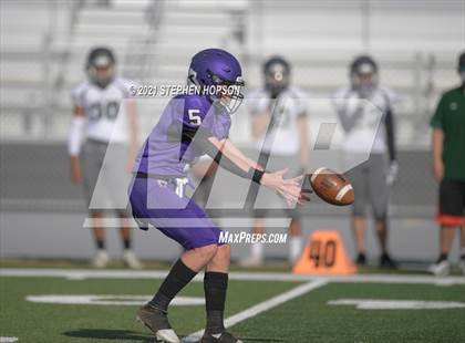 Thumbnail 3 in Pitman @ Tokay photogallery.