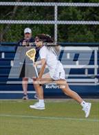 Photo from the gallery "Cheshire @ Wilton"