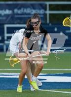 Photo from the gallery "Cheshire @ Wilton"