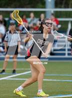 Photo from the gallery "Cheshire @ Wilton"