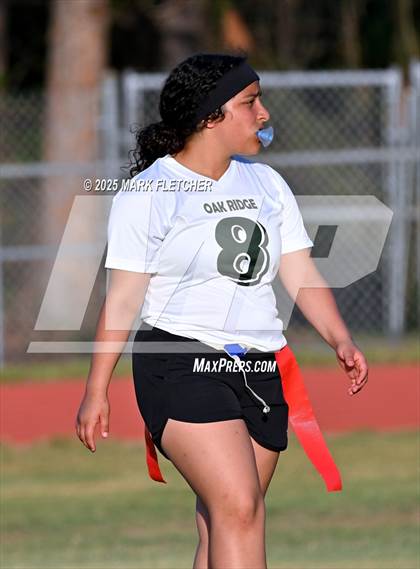 Thumbnail 1 in Oak Ridge @ Cypress Creek photogallery.