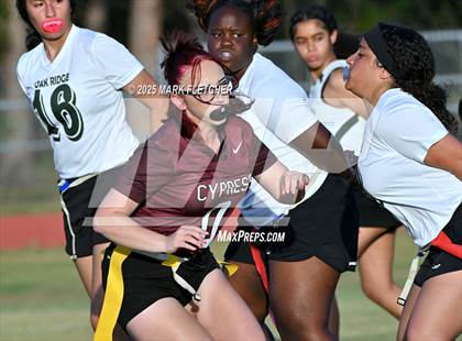 Thumbnail 3 in Oak Ridge @ Cypress Creek photogallery.