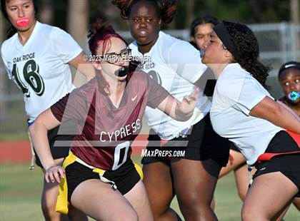 Thumbnail 1 in Oak Ridge @ Cypress Creek photogallery.