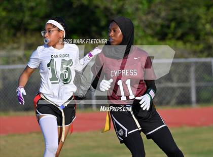 Thumbnail 3 in Oak Ridge @ Cypress Creek photogallery.
