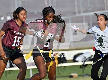 Thumbnail 1 in Oak Ridge @ Cypress Creek photogallery.