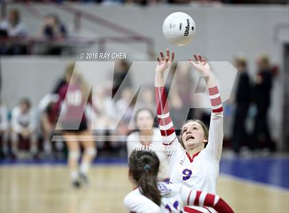 Thumbnail 2 in Mountain Vista vs. Cherry Creek (CHSAA 5A State Tournament) photogallery.