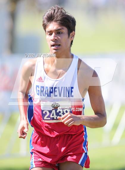 Thumbnail 3 in UIL Cross Country 5A Final (5K) photogallery.