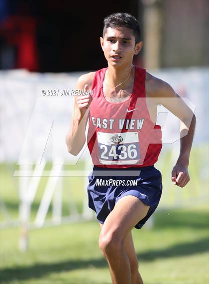 Thumbnail 2 in UIL Cross Country 5A Final (5K) photogallery.