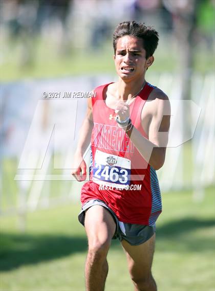 Thumbnail 2 in UIL Cross Country 5A Final (5K) photogallery.