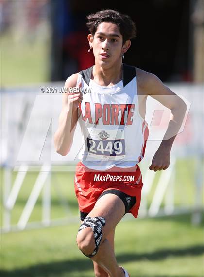 Thumbnail 2 in UIL Cross Country 5A Final (5K) photogallery.