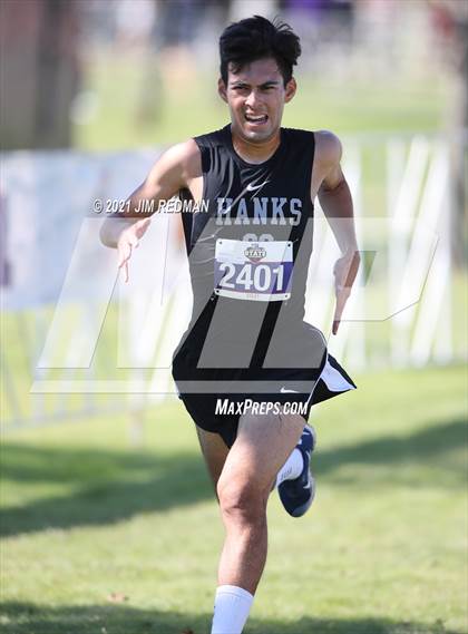 Thumbnail 1 in UIL Cross Country 5A Final (5K) photogallery.