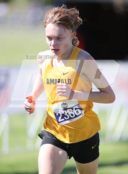 Thumbnail 3 in UIL Cross Country 5A Final (5K) photogallery.