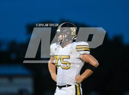 Thumbnail 1 in Henrietta @ Millsap photogallery.