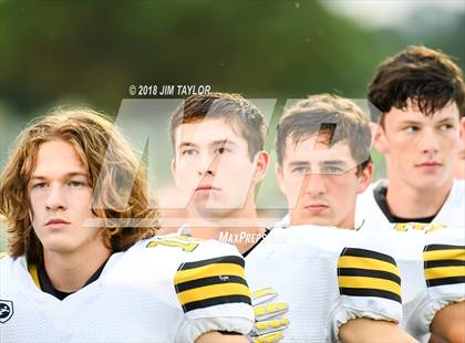 Thumbnail 1 in Henrietta @ Millsap photogallery.