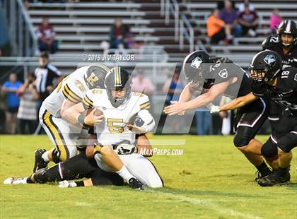 Thumbnail 2 in Henrietta @ Millsap photogallery.