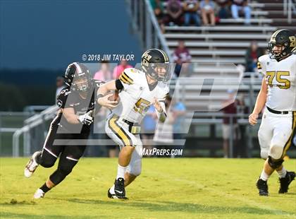 Thumbnail 2 in Henrietta @ Millsap photogallery.