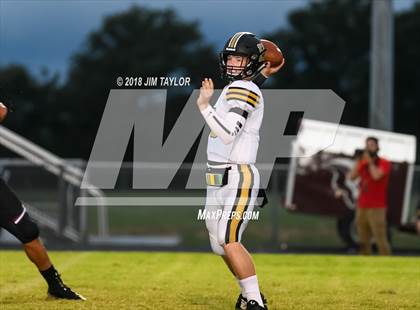 Thumbnail 1 in Henrietta @ Millsap photogallery.
