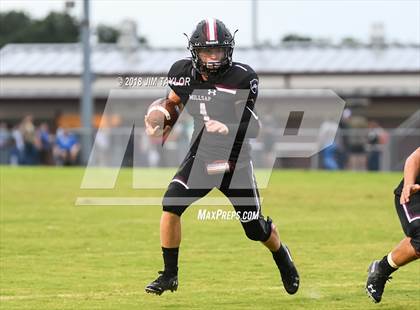 Thumbnail 2 in Henrietta @ Millsap photogallery.