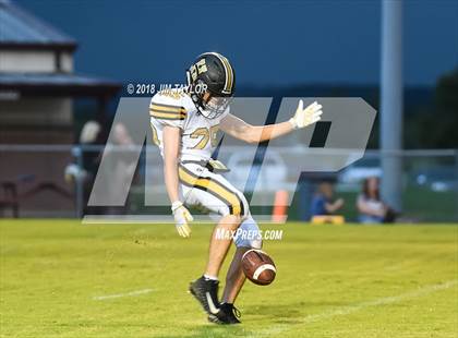 Thumbnail 3 in Henrietta @ Millsap photogallery.