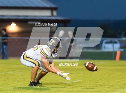 Thumbnail 3 in Henrietta @ Millsap photogallery.