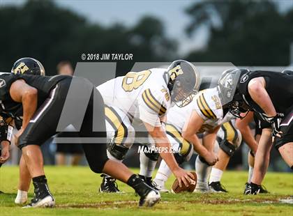 Thumbnail 1 in Henrietta @ Millsap photogallery.
