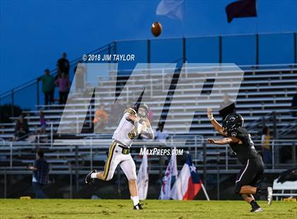 Thumbnail 3 in Henrietta @ Millsap photogallery.