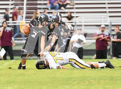 Thumbnail 2 in Henrietta @ Millsap photogallery.