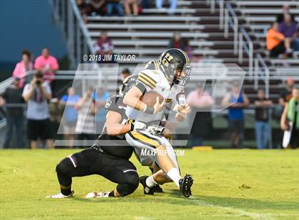 Thumbnail 1 in Henrietta @ Millsap photogallery.