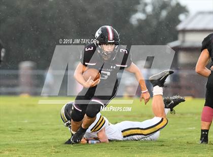 Thumbnail 3 in Henrietta @ Millsap photogallery.