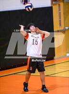 Photo from the gallery "Lebanon @ Antietam"