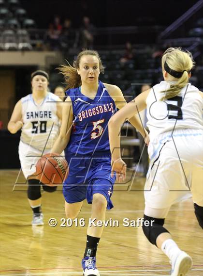 Thumbnail 3 in Sangre de Cristo vs. Briggsdale (CHSAA 1A Semifinal) photogallery.